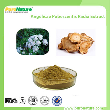 Angelicae Pubescentis Radix Extract