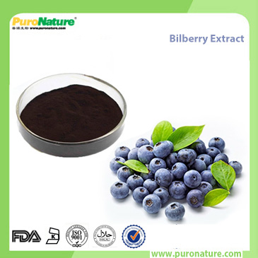 Bilberry Extract 84082-34-8 Anthocyanidins