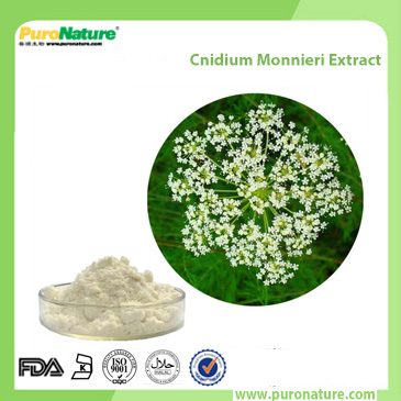 Cnidium Monnieri Extract 484-12-8 Osthole