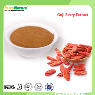 Goji Berry Extract 107-43-7 Polysaccharides