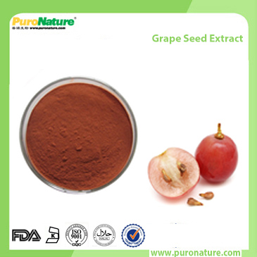 Grape Seed Extract 4852-22-6 Proanthocyanidins