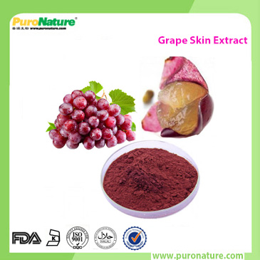 Grape Skin Extract Polyphenols