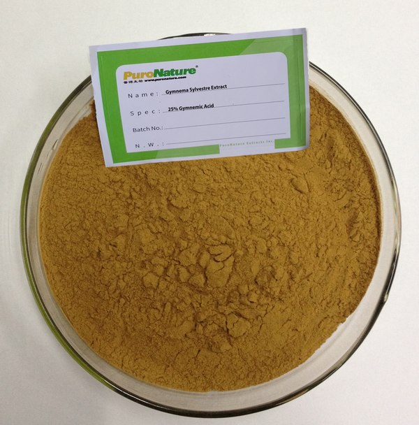 Gymnema Sylvestre Extract Powder Gymnemic Acid 1399-64-0