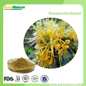 Honeysuckle Extract Chlorogenic acid
