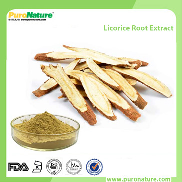 Licorice Root Extract 1405-86-3 Glycyrrhizic Acid