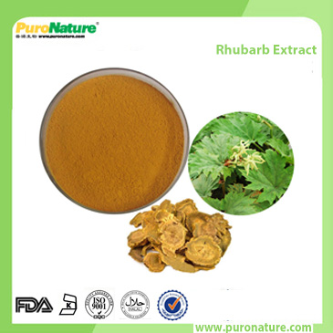 Rhubarb Extract 518-82-1 Emodin