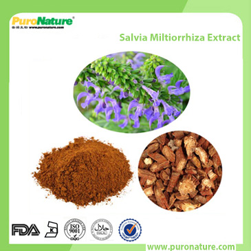 Salvia Miltiorrhiza Extract 568-72-9 Tanshinone