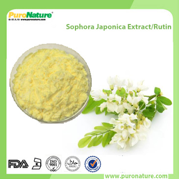 Sophora Japonica Extract Rutin 153-18-4