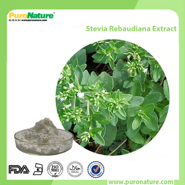Stevia Rebaudiana Extract 57817-89-7