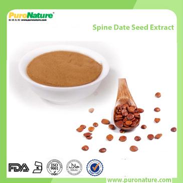 Ziziphus Spine Date Seed Extract 55466-05-2 Jujuboside