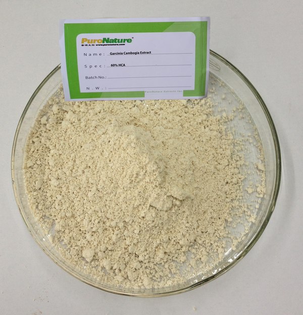 Garcinia cambogia extract hydroxycitric acid HCA 60% natural ingredient