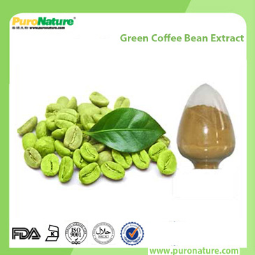 Green Coffee Bean Extract 327-97-9 Chlorogenic Acids