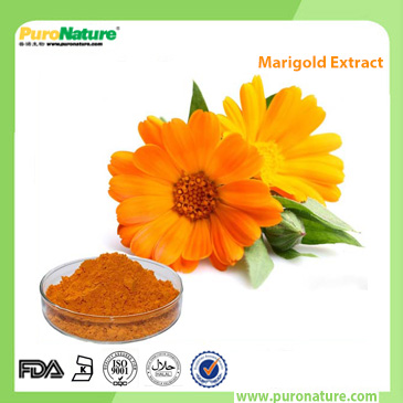 Marigold Extract 144-68-3 Zeaxanthin