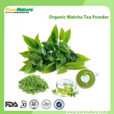 Organic Matcha Tea Powder