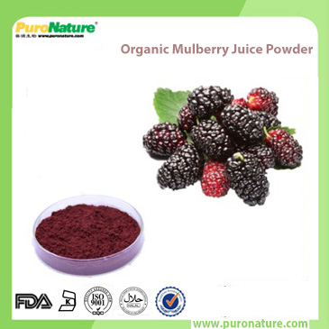 Organic Mulberry Juice Powder