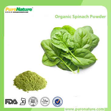 Organic Spinach Powder