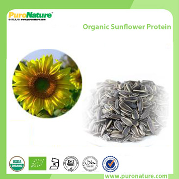 Organic Sunflower Protein