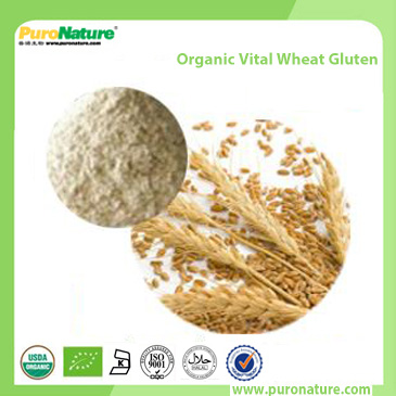 Organic Vital Wheat Gluten