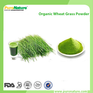 Organic Wheat Grass Powder