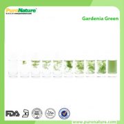 Gardenia extract green color powder