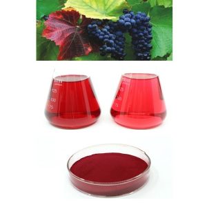 Grape Skin Extract Enocianina E163 red pigment enocyanin of anthocyanins 11029-12-2