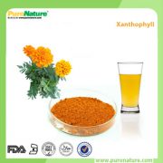 Marigold Extract Lutein E161b