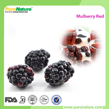 Mulberry extract pigment powder