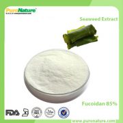 Seaweed Extract Fucoidan 85%
