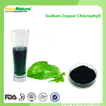 Sodium copper chlorophyll Food additives pigment