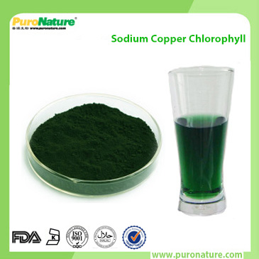 Sodium copper chlorophyll colorant powder