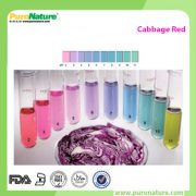 cabbage extract powder