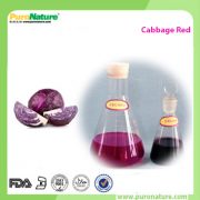cabbage juice color