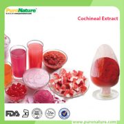 cochineal extract