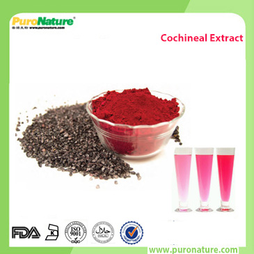 cochineal extract powder