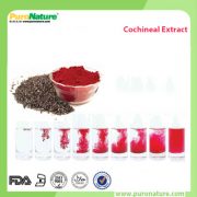 natural cochineal extract carmine powder