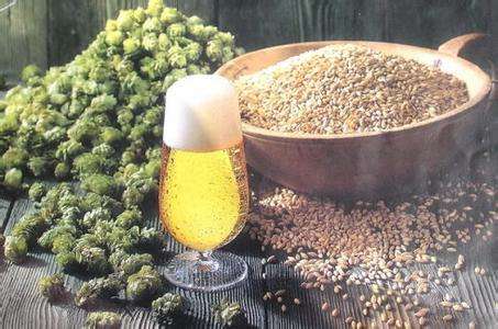 Hops Extract Active Ingredient Hops Flavone , Xanthohumol cas 6754-58-1 Humulus Lupulus powder for beer plant natural additive 