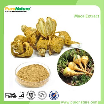 Maca Root Extract Powder Macamide