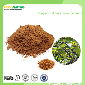 Pygeum Africanum Extrac