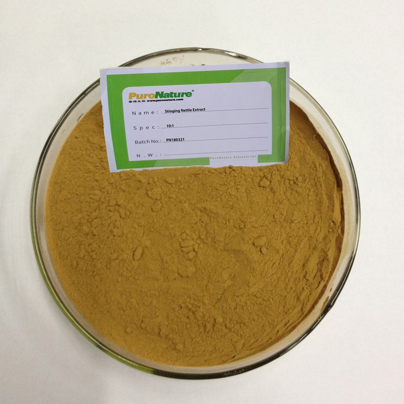 Stinging Nettle Extract Organic Silica Specification cas 83-46-5 Urtica Cannabinaa capsules