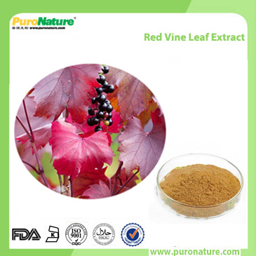 Red Vine Leaf Extract