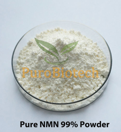 Nicotinamide-Mononucleotide-Nmn-Powder