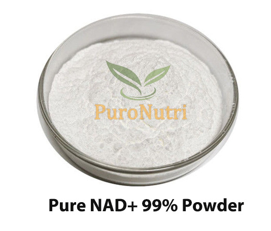 Nicotinamide Riboside Chloride NAD Powder